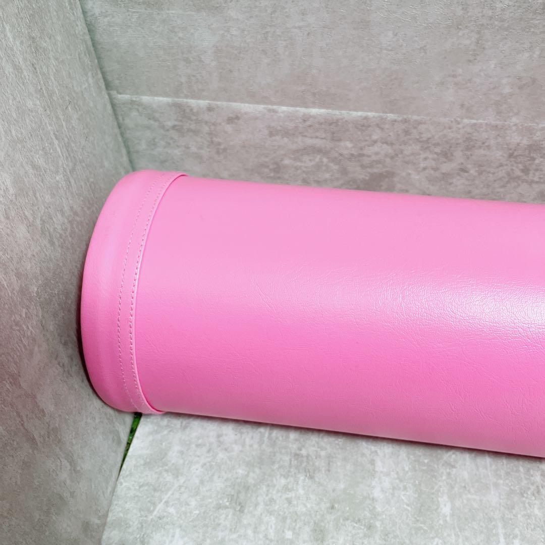 美品 ストレッチポール ピラティス LPN社製 StretchPole ヨガ