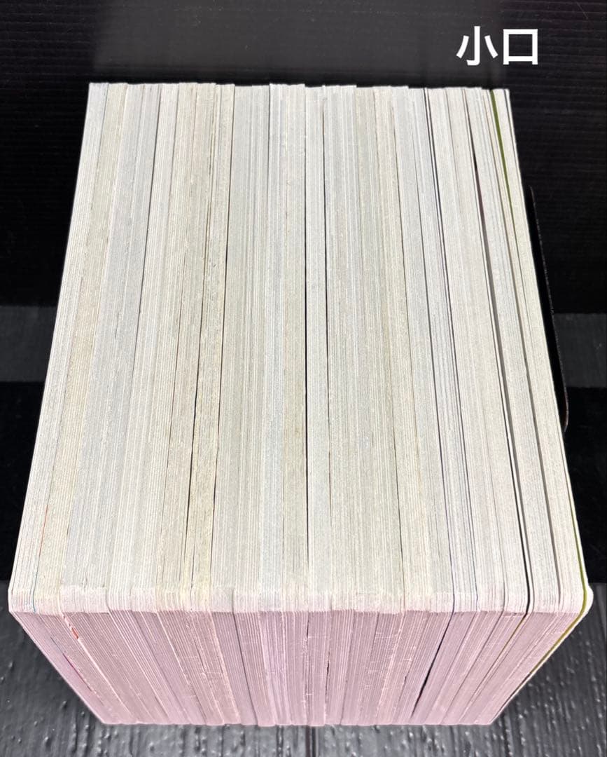 ディズニー スーパーゴールド絵本 プリンセス ロイヤルペット 全23冊