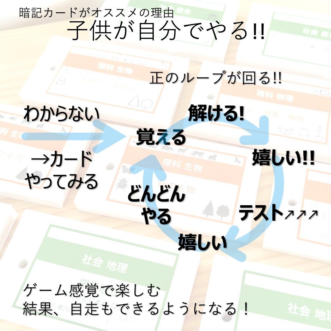 中学受験【6年上 社会 全セット1-17回】暗記カード 予習シリーズ 組分け