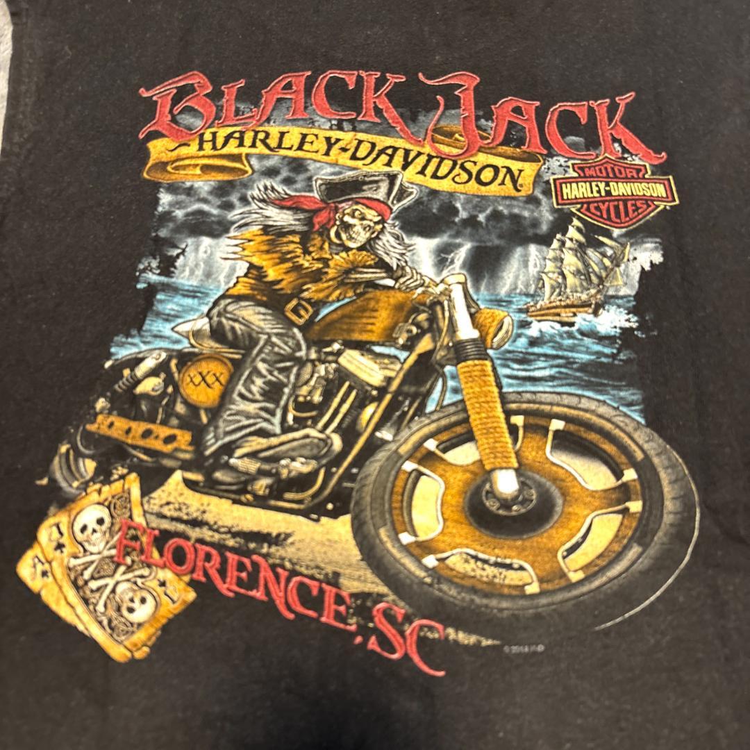HARLEY-DAVIDSON　2014年製　ノースリーブ　L 大地