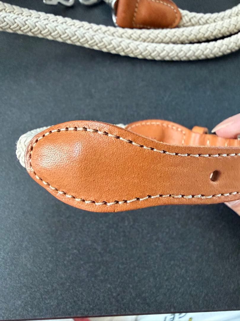 STROLLの首輪、ショルダーリードのセット