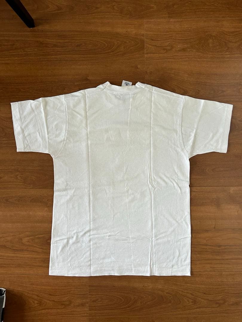 90s APE 猿の惑星　モスキードヘッド　ビンテージTシャツ　フェード