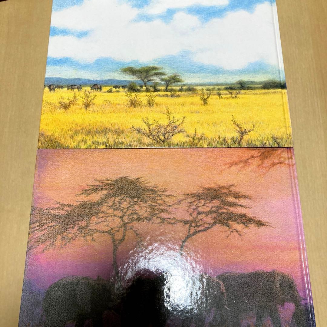 絵本まとめ売り　吉田遠志作　動物絵本シリーズ　アフリカ　希少絵本　初版あり　美品