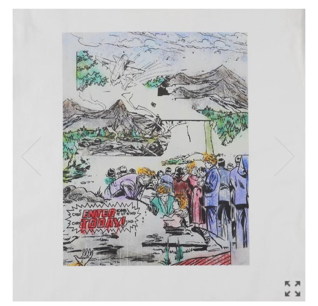 世界101枚限定　NIIMI HIROKI WDS ART ウィンダンシー　XL