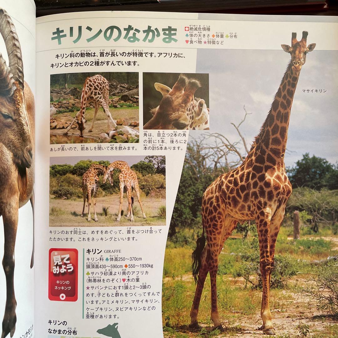 【DVD付き】学研の図鑑 LIVE 8冊セット まとめ売り