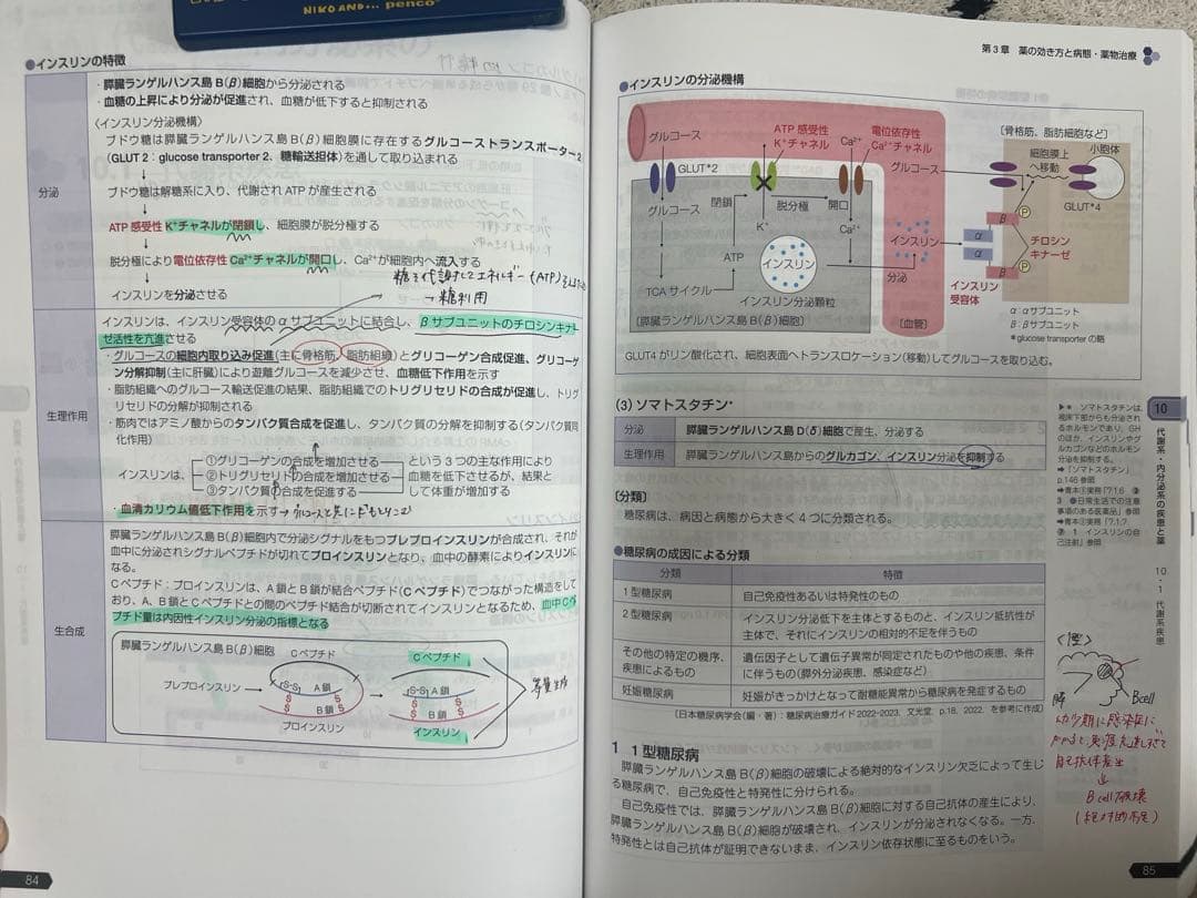 薬剤師国家試験問題集セット　回数別問題集(109回)付き