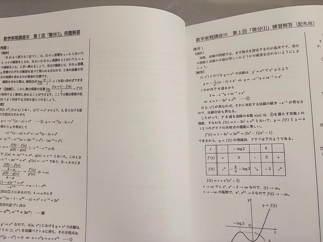 鉄緑会　数学実戦講座Ⅲ 例題・練習解答プリントセット　駿台　河合塾　東進　SEG