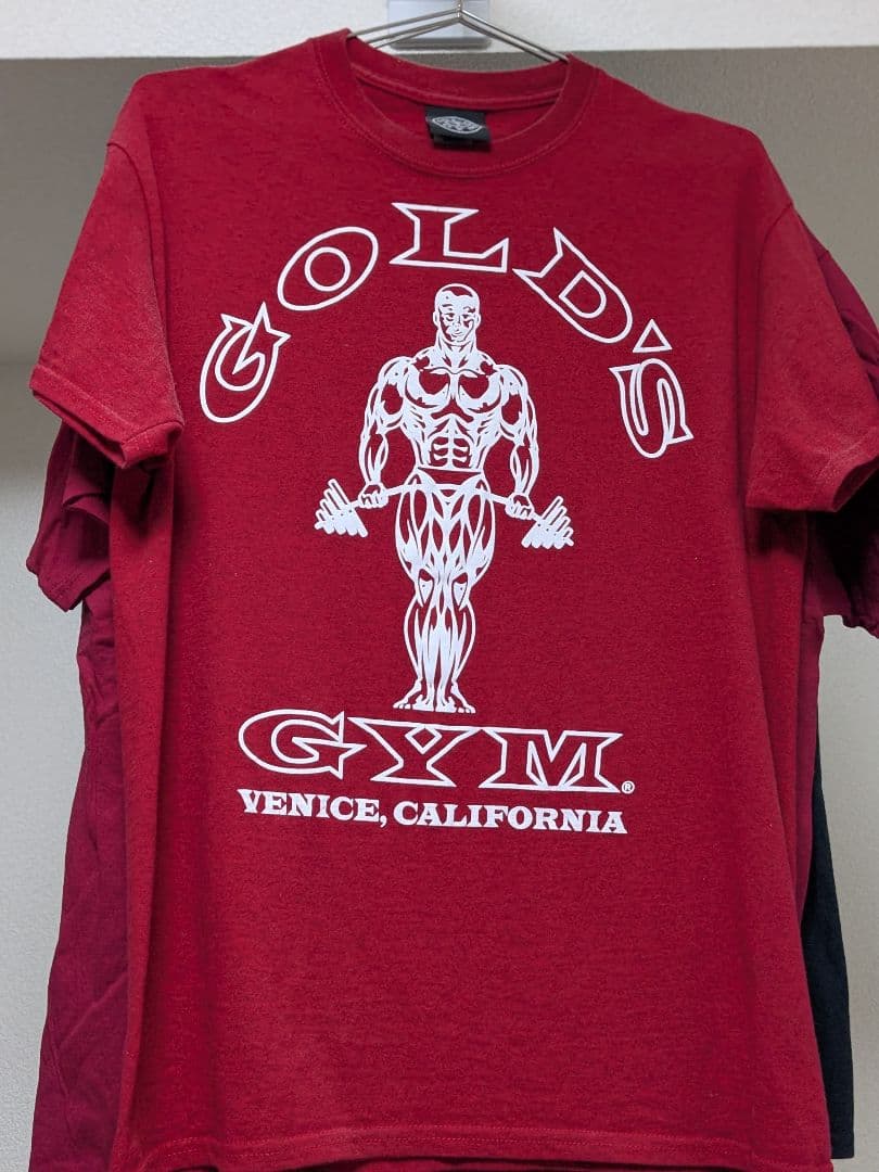 GOLD'S GYM Tシャツ（黒ベニス・赤ベニス・赤札幌）
