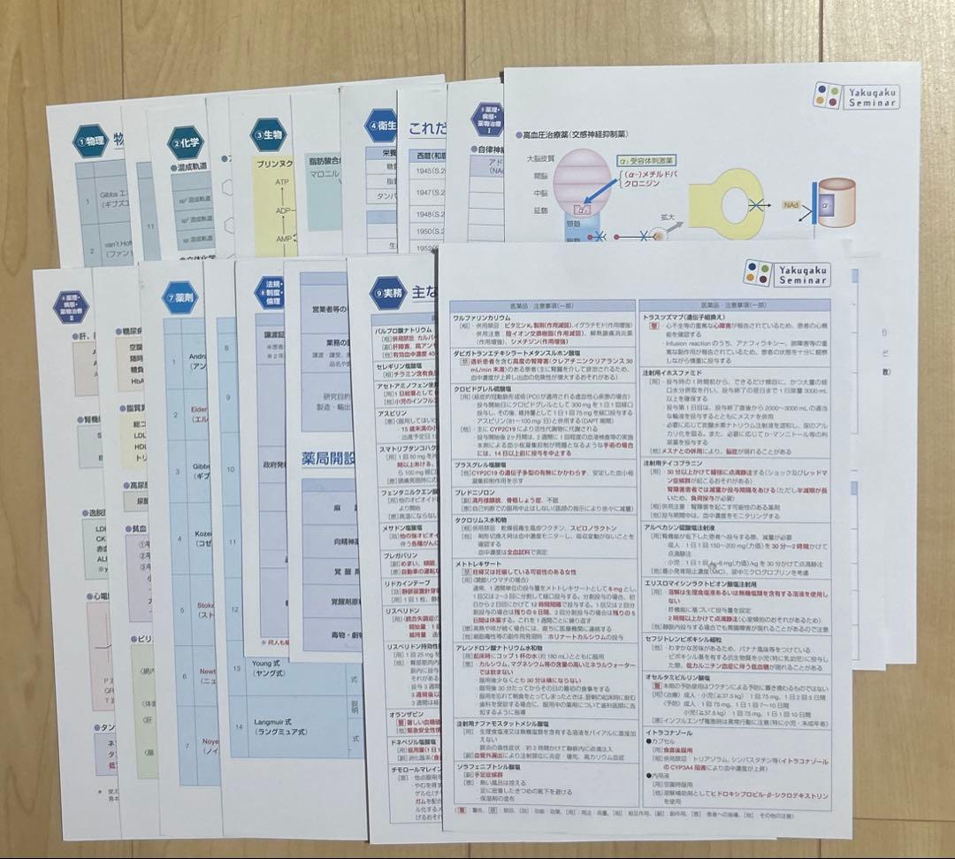 第110回国家試験対策版　薬剤師国家試験対策参考書