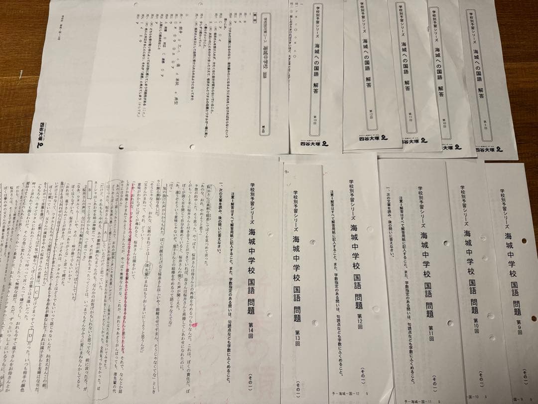 学校別予習シリーズ 海城への社会・理科・国語・算数 教材セット