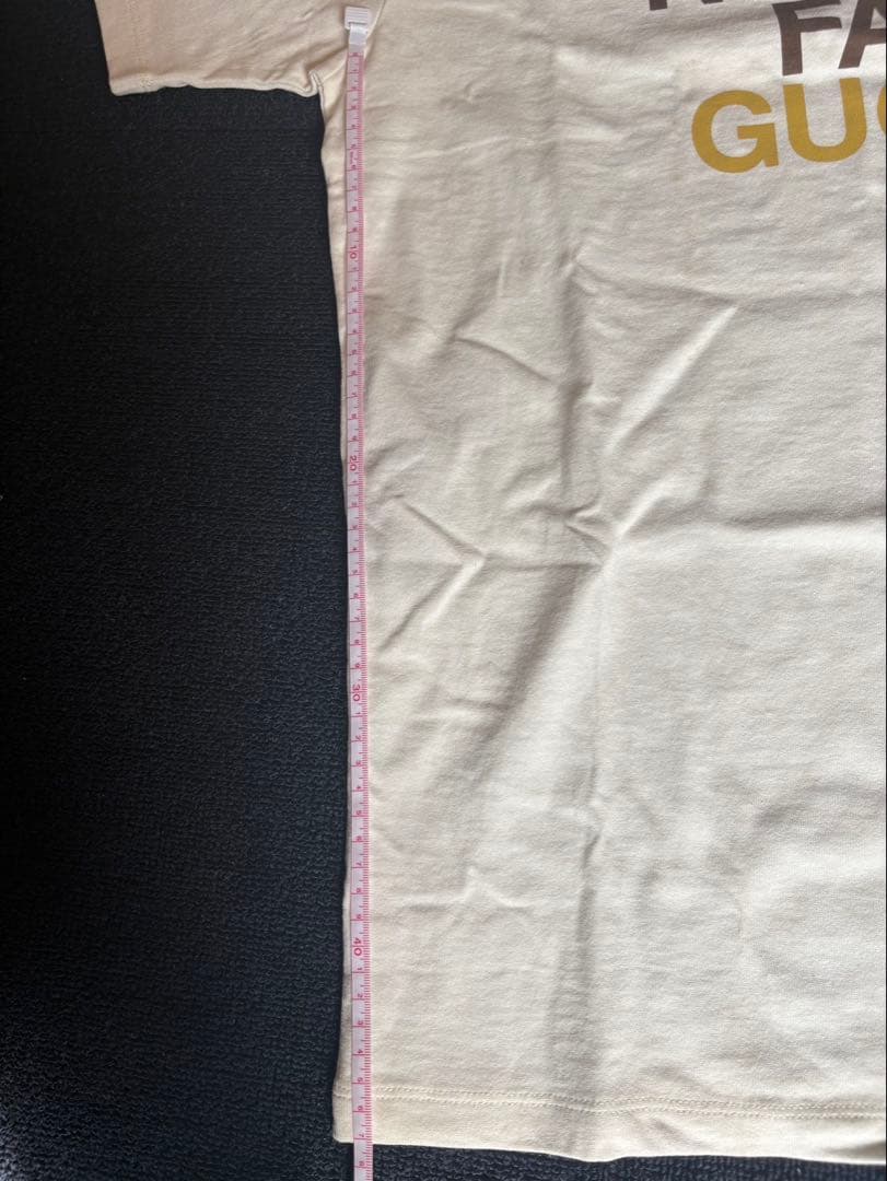 【未使用】GUCCI × THE NORTH FACE コラボ Tシャツ