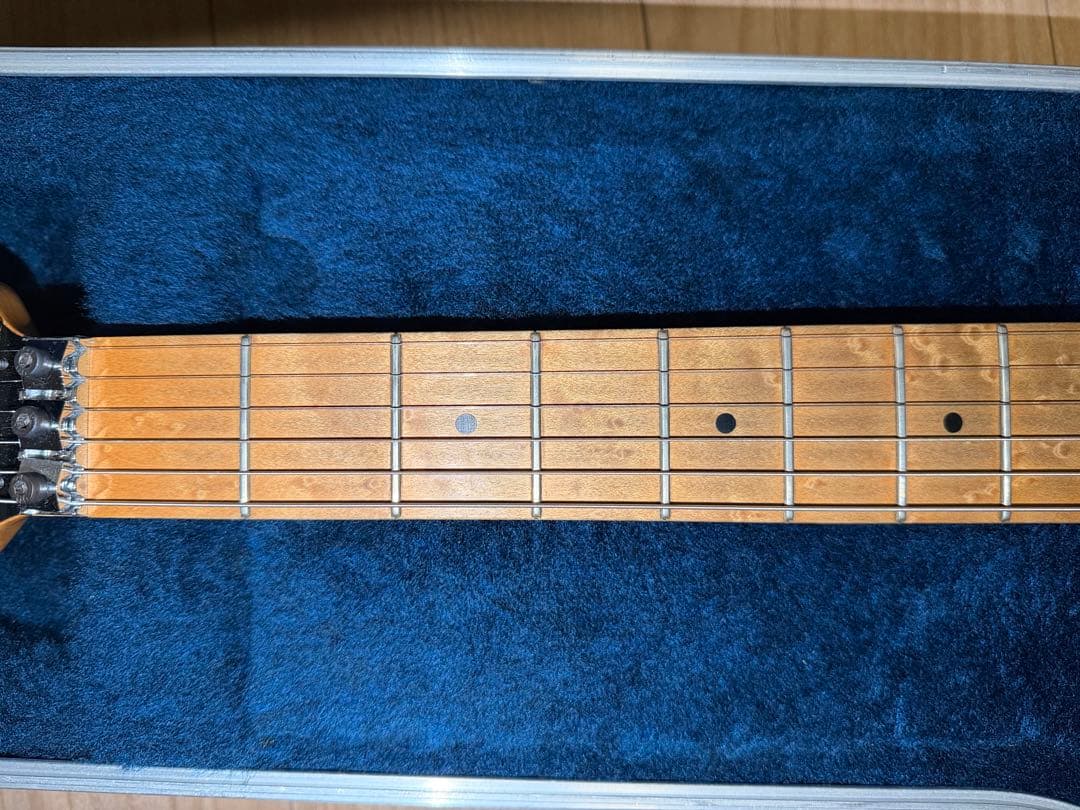 ギター Peavey EVH Wolfgang USA BlackCherryBurst