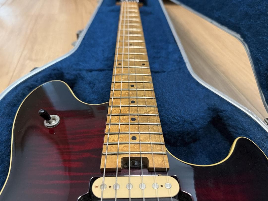 ギター Peavey EVH Wolfgang USA BlackCherryBurst