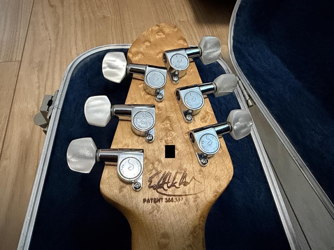 ギター Peavey EVH Wolfgang USA BlackCherryBurst