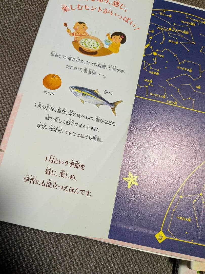 月のえほん 12冊セット　1月のえほん　季節を知る　遊ぶ　感じる　長谷川康男