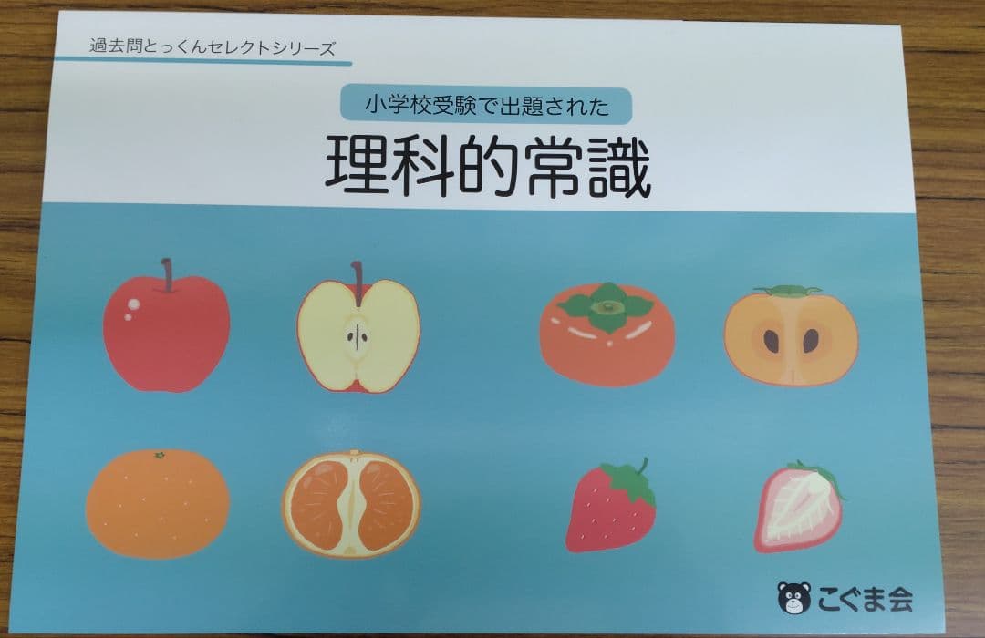 こぐま会 こぐまのがくしゅう ひとりでとっくん 年長児 小学校受験 教材セット