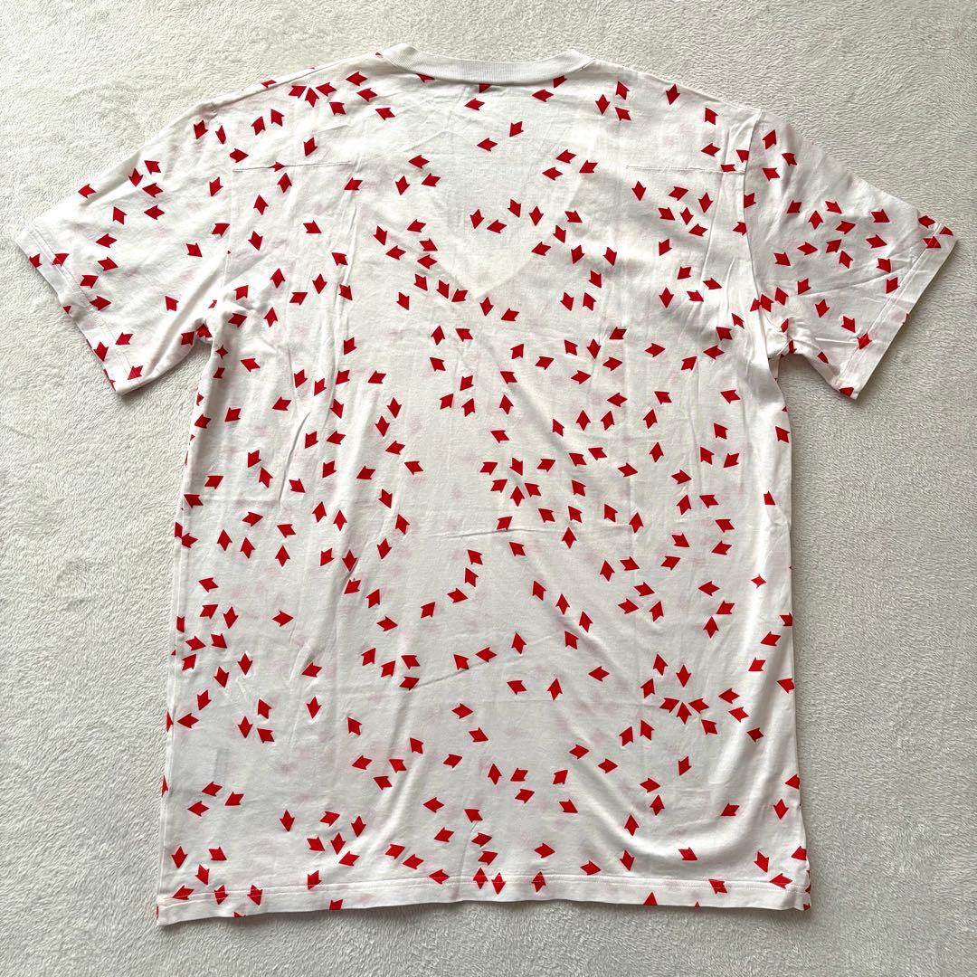 【希少アーカイブ】Dior Homme 08SS アロー総柄 VネックTシャツ