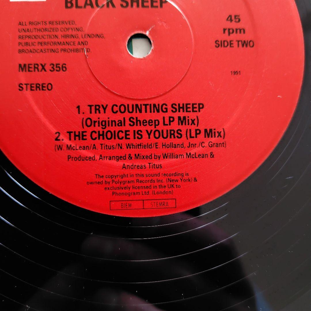 BLACK SHEEP-TRY COUNTING SHEEP( 12インチ盤)