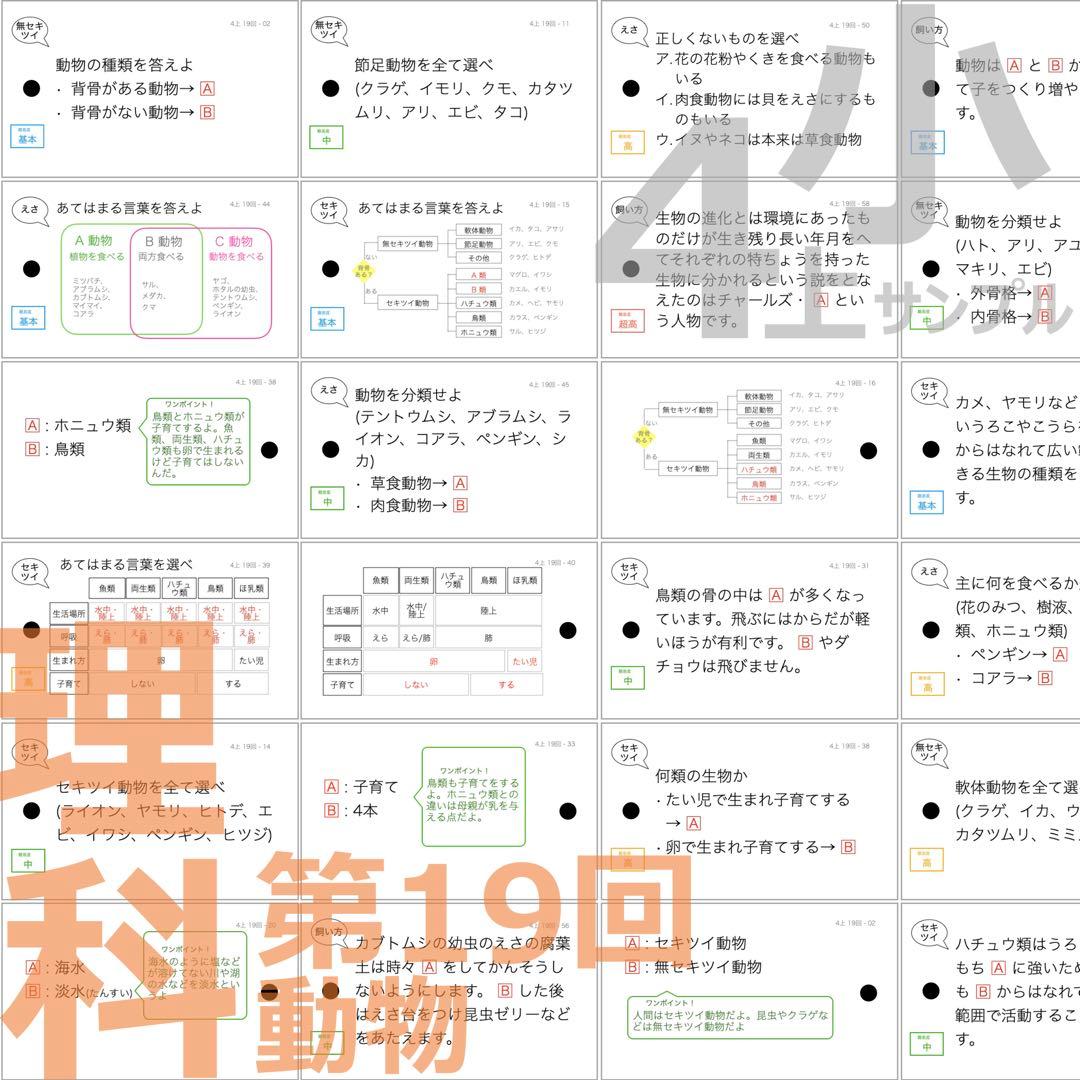 中学受験 暗記カード【4年生向け 理科上下 生物全セット】植物,動物