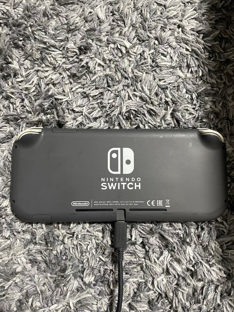 Nintendo Switch Lite グレー 本体　セット