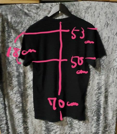 T*a様 BLESSTHEFALL / ブレスザフォール Tシャツ　激レア