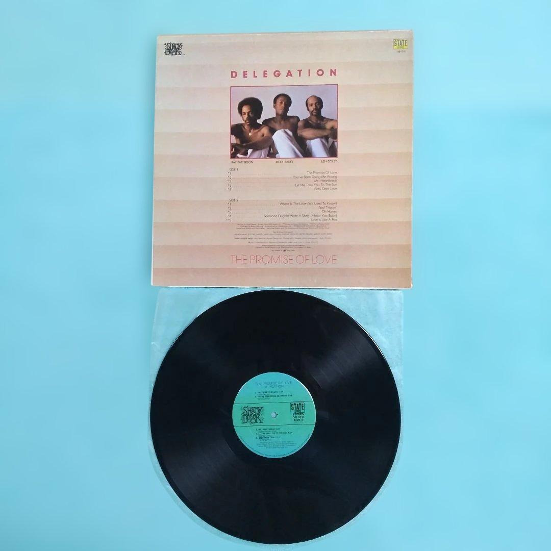 DELEGATION /THE PROMISE OF LOVE レコード