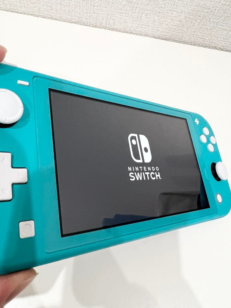 Nintendo Switch Lite 本体 充電ケーブル、ケース付