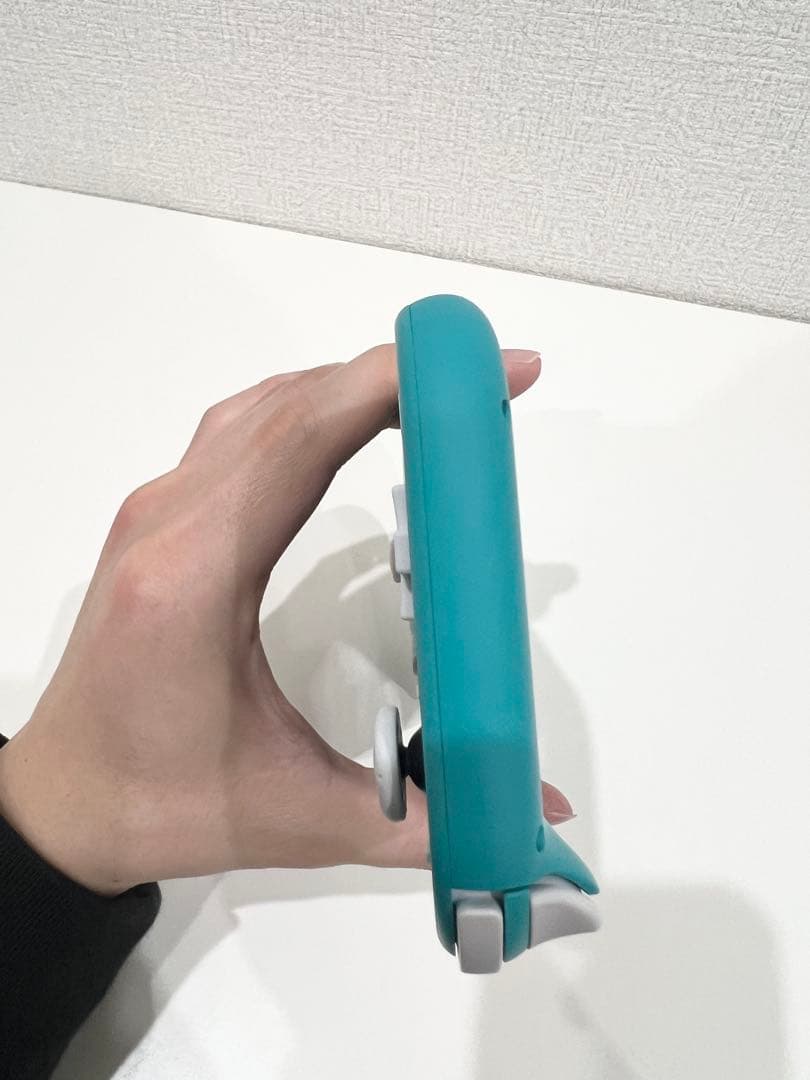 Nintendo Switch Lite 本体 充電ケーブル、ケース付