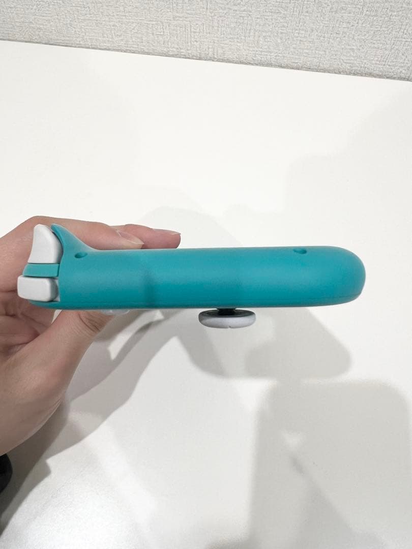 Nintendo Switch Lite 本体 充電ケーブル、ケース付
