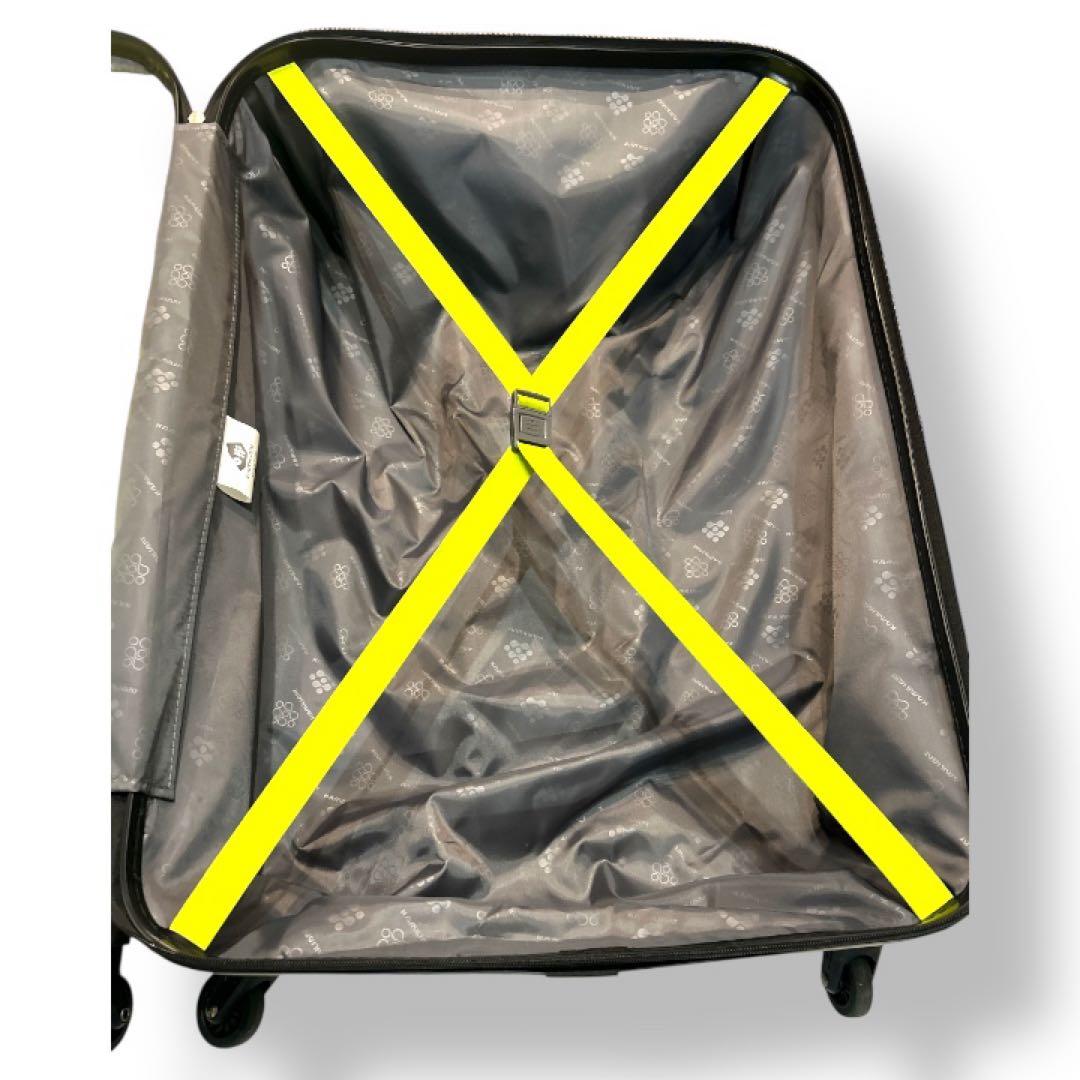 カメレオン スーツケース 63L 中型 ハードケース ほぼ未使用