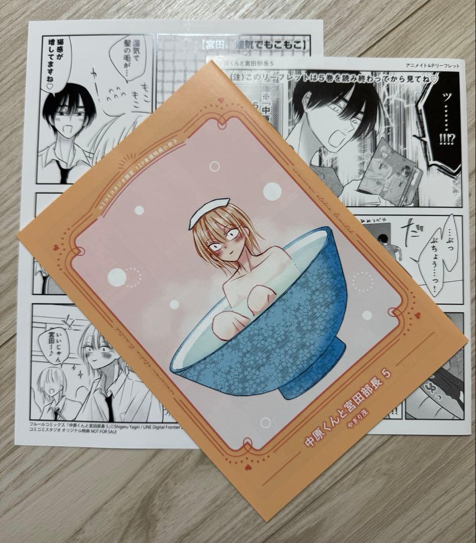 中原くんと宮田部長 1〜6巻 小冊子 リーフレット ペーパー 特典付き