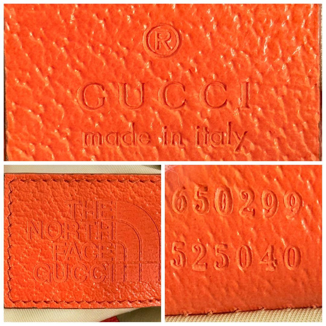 【美品】GUCCI×THE NORTH FACE グッチ×ザ ノースフェイス