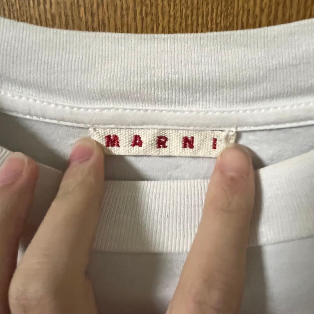 MARNI Tシャツ サイズ44