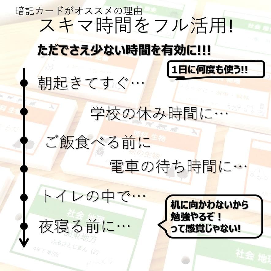 中学受験 暗記カード【4年生向け 理科 上 生物セット】植物,動物