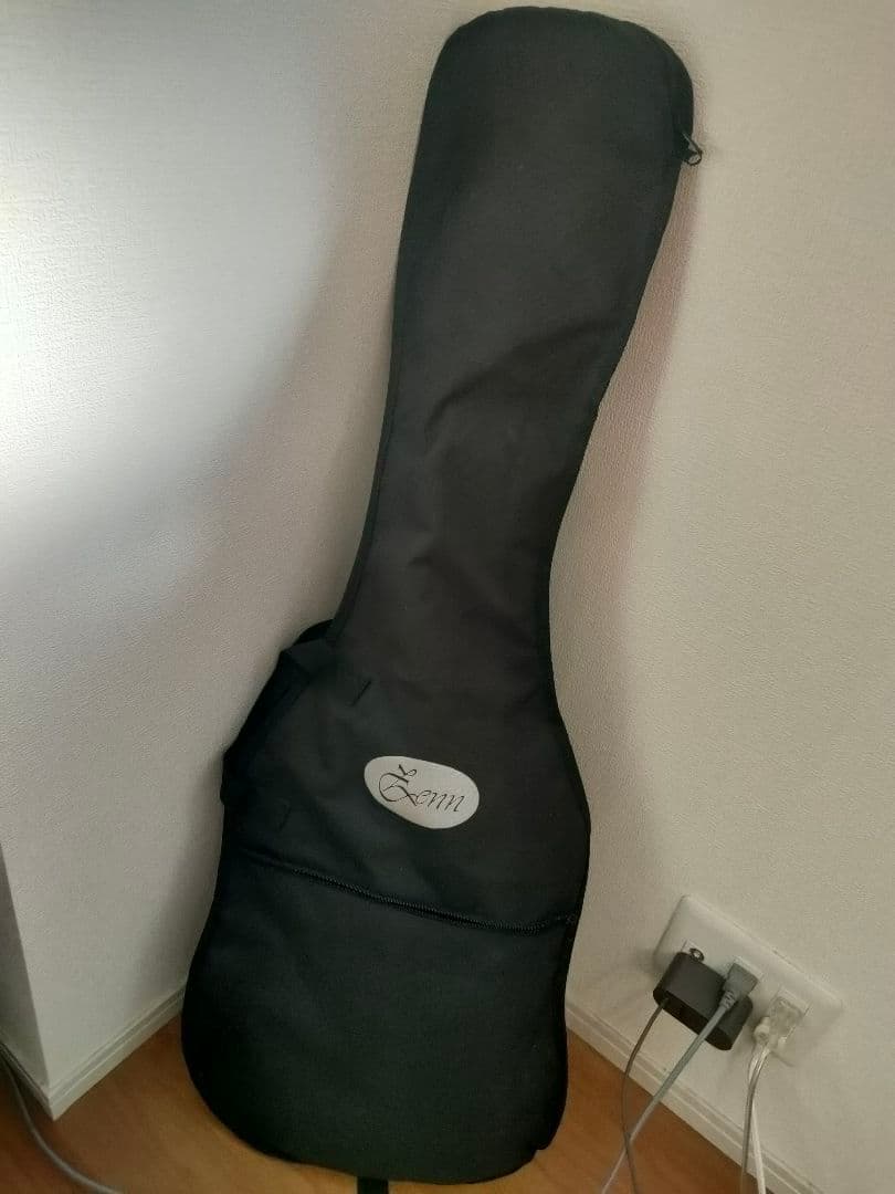 RY Guitar オーダーモデル SSHストラトキャスタータイプ