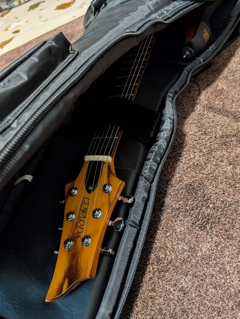 【値下げ可能】美品　動作確認済み　EDWARDS E-RD-140NT