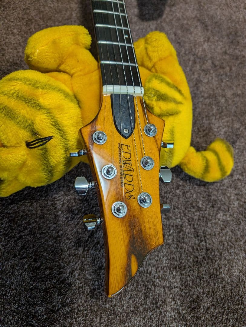 【値下げ可能】美品　動作確認済み　EDWARDS E-RD-140NT