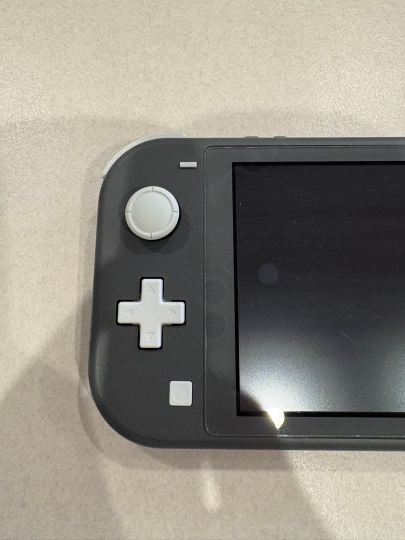 Nintendo Switch Lite グレー 本体 + ピクミン4