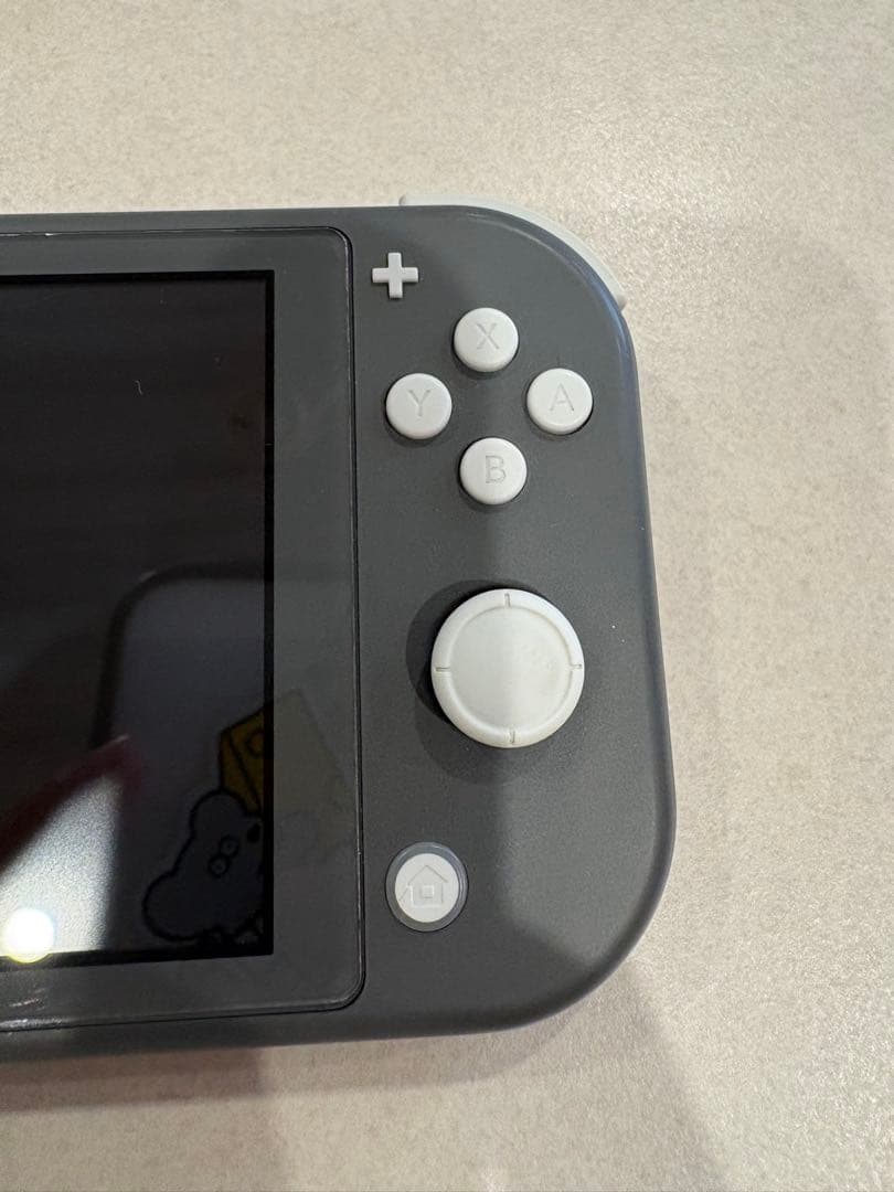 Nintendo Switch Lite グレー 本体 + ピクミン4