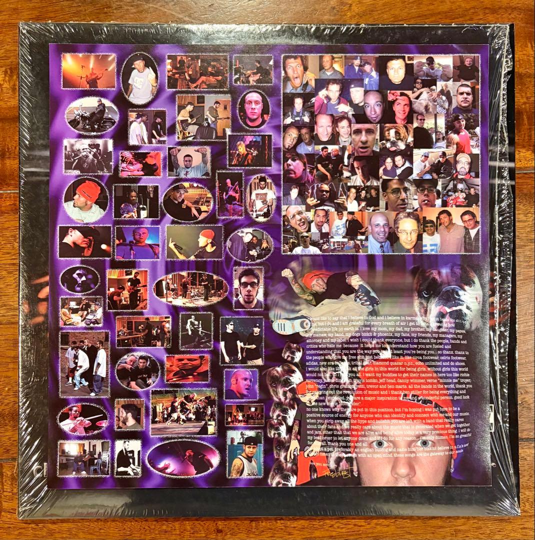 洋楽 Limp Bizkit / C.S.H.D.F.W 2LP