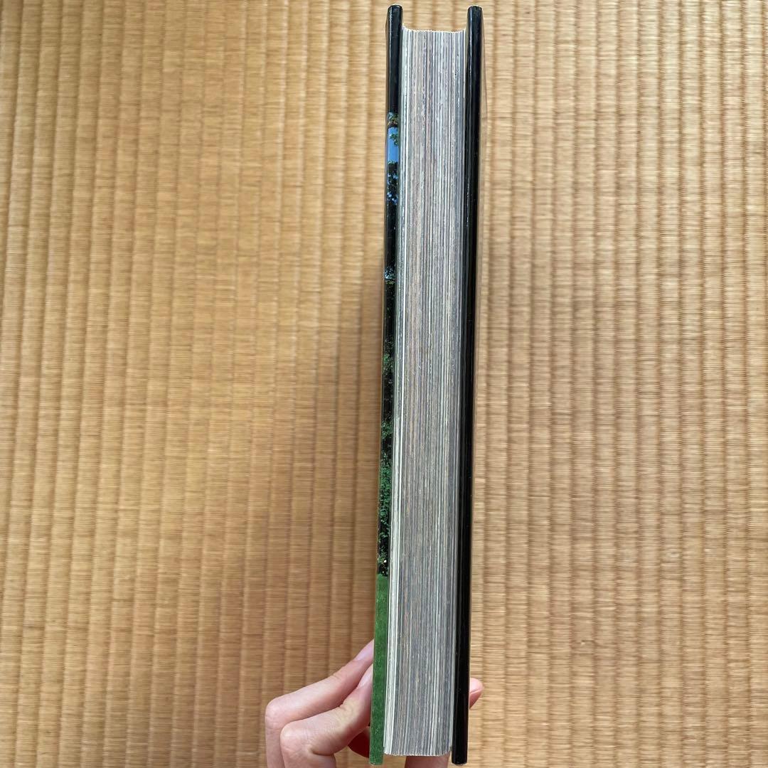 洋書 Frank Lloyd Wright Prairie Houses