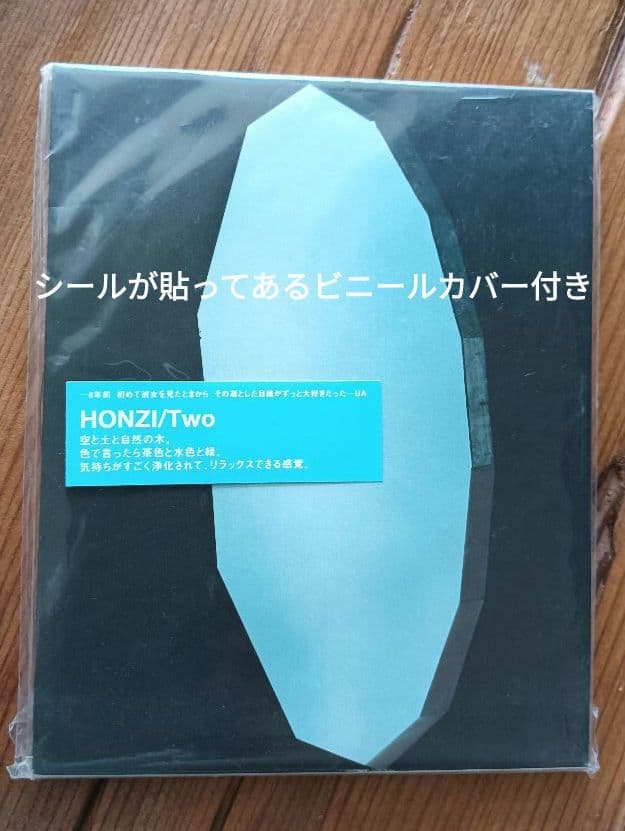 【貴重・美品】HONZI TWO CD　ホンジ