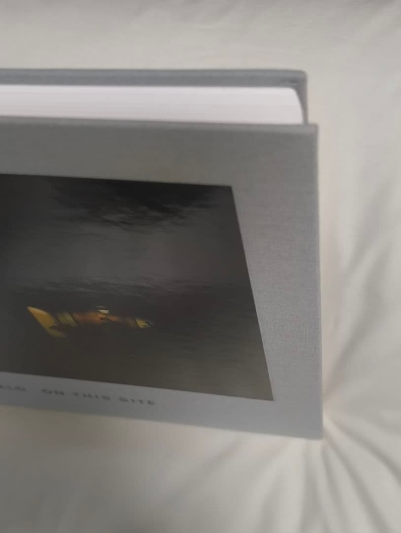 アート・デザイン・音楽 joel sternfeld on this site steidl