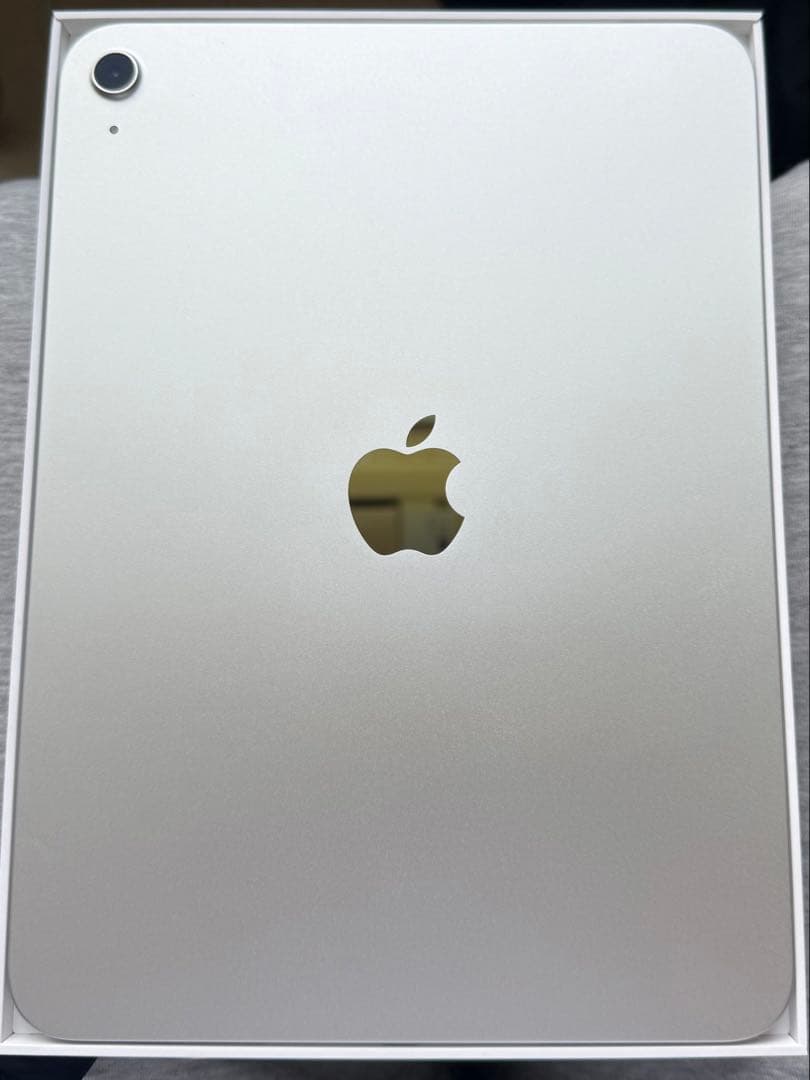 Apple iPad 11インチ(a16)シルバー 本体 充電器付き 128GB