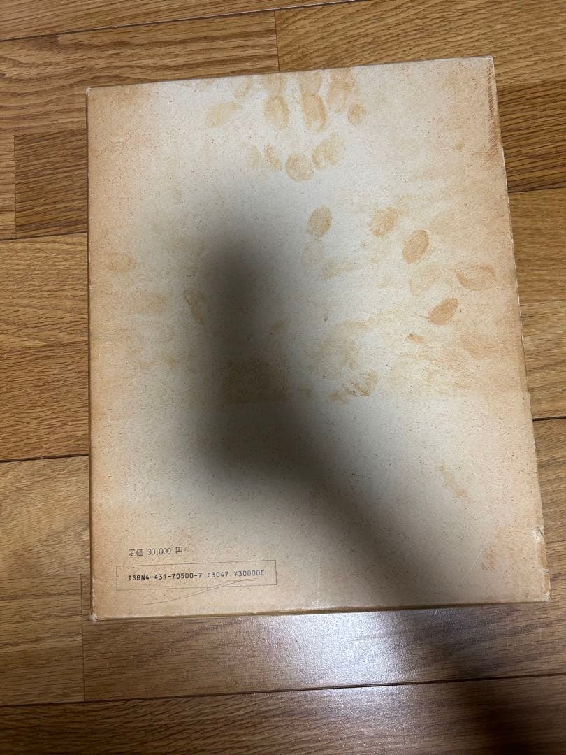 骨折治療法