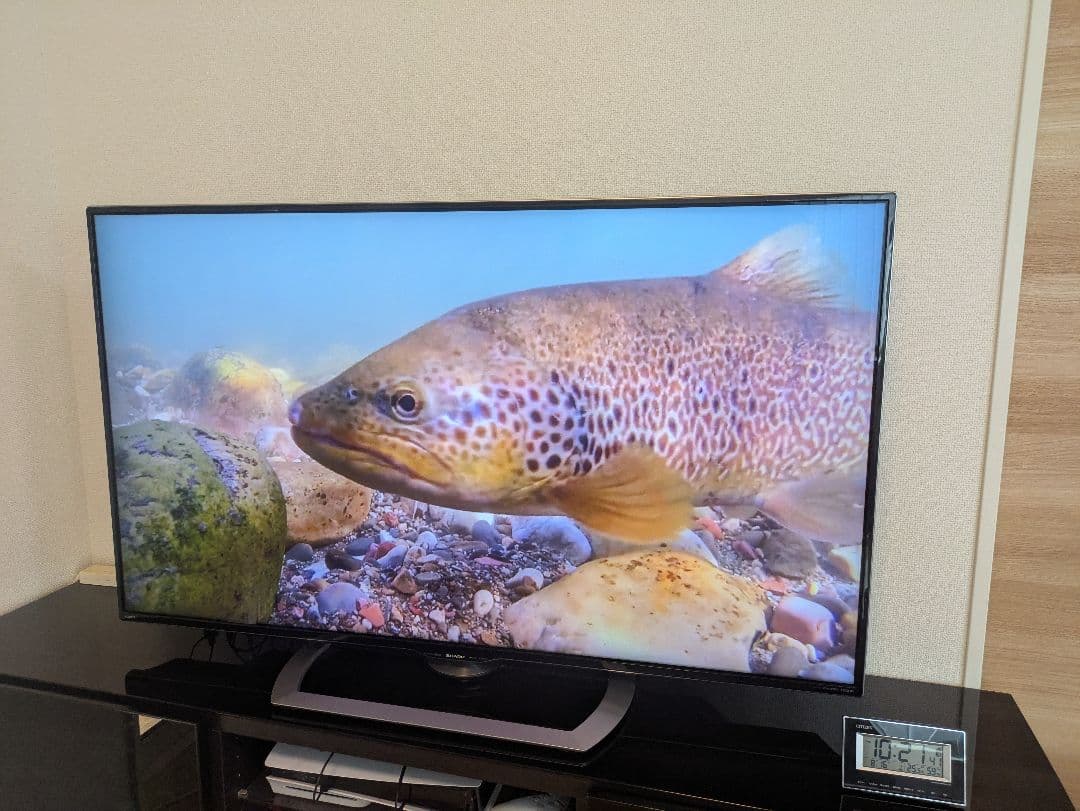 SHARP AQUOS 55インチ4K 液晶テレビ