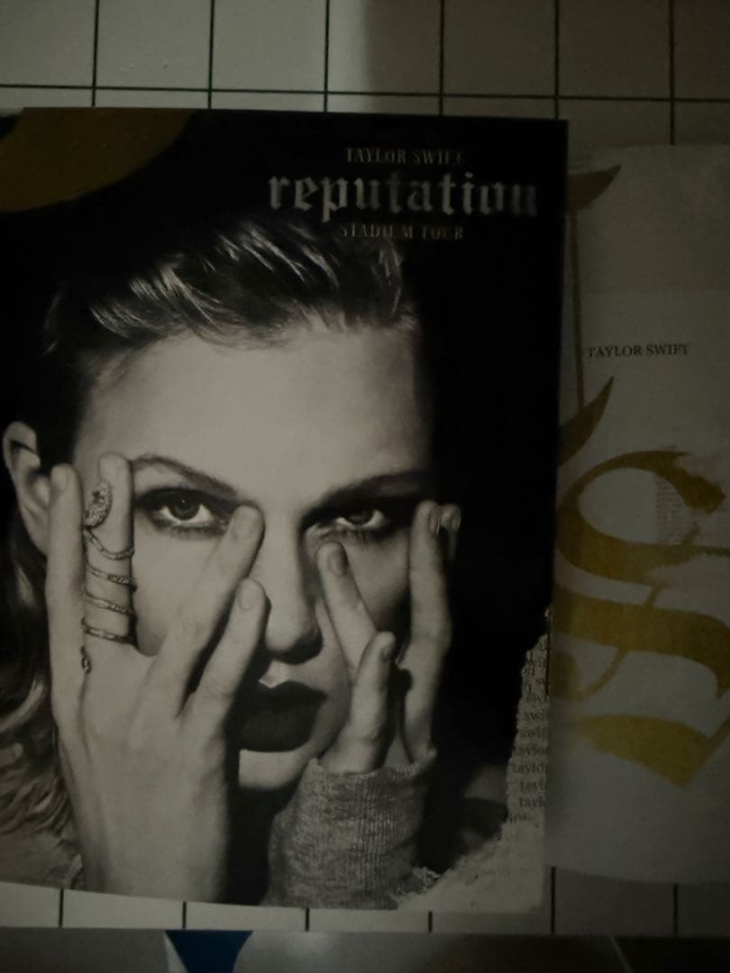 アート・デザイン・音楽 reputation TOUR BOOK Taylor Swift