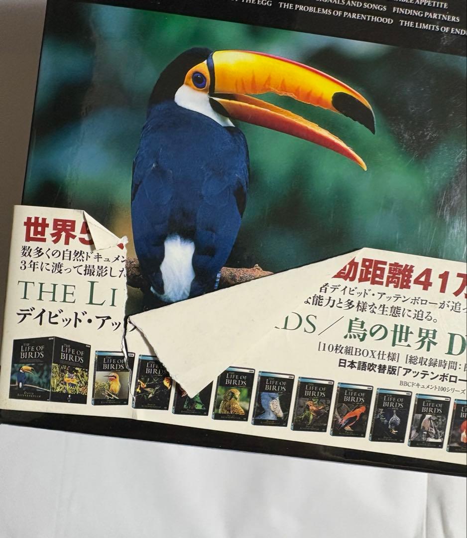 ライフ・オブ・バーズ/鳥の世界 DVD-BOX〈10枚組〉　鳥の生態