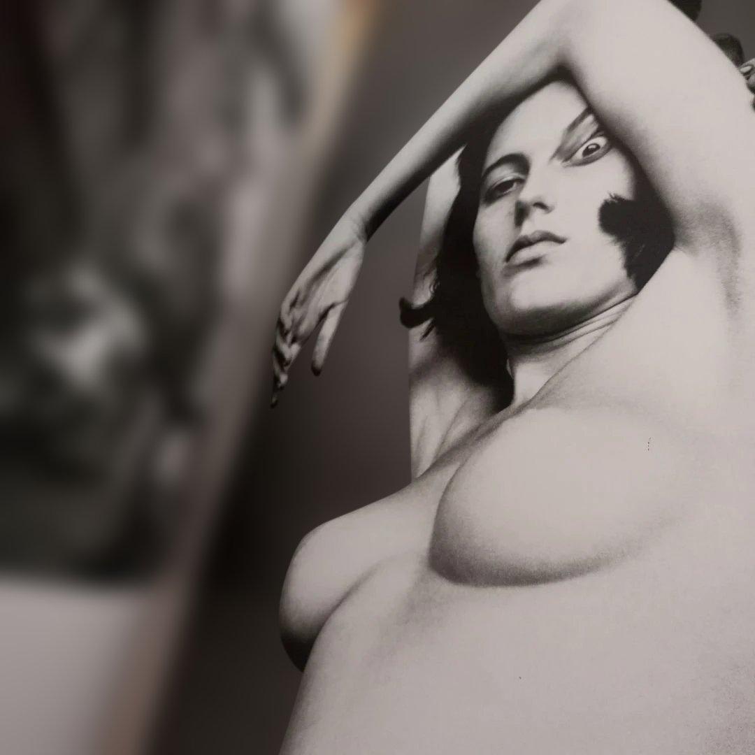 アート・デザイン・音楽 HELMUT NEWTON/ARCHIVES DE NUIT