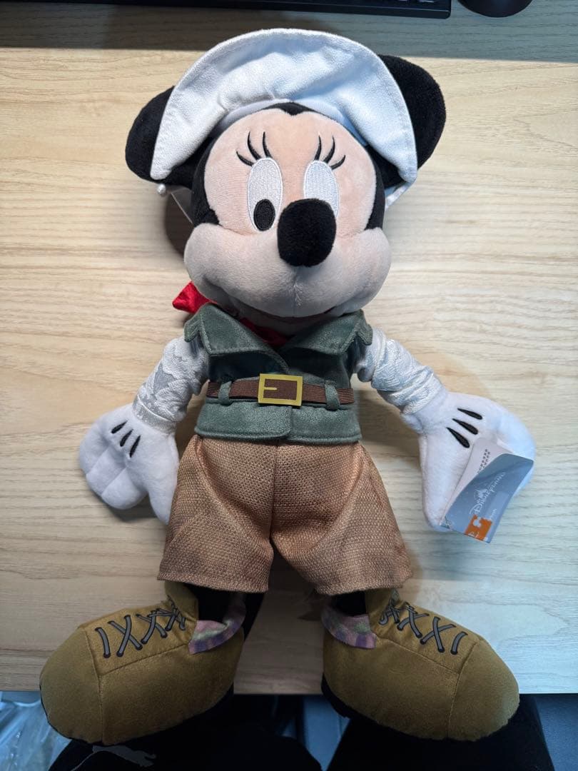 香港ディズニー　ミッキーミニー